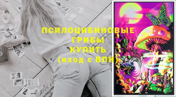 эйфоретик Заводоуковск