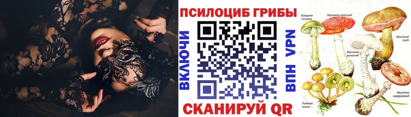 Псилоцибиновые грибы GOLDEN TEACHER  Купить закладки  Петушки 