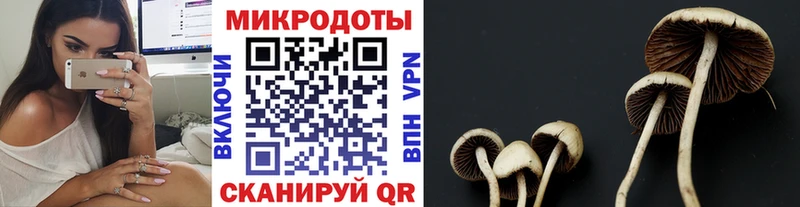 Галлюциногенные грибы Psilocybine cubensis Петушки
